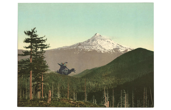 MtHood1_600x.jpg?v=1400508112