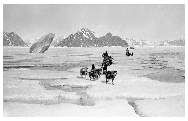 The Heroic Age Of Antarctic Exploration - Alternate Histories