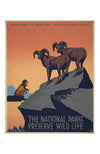 National Parks Service: Preserve Wild Life